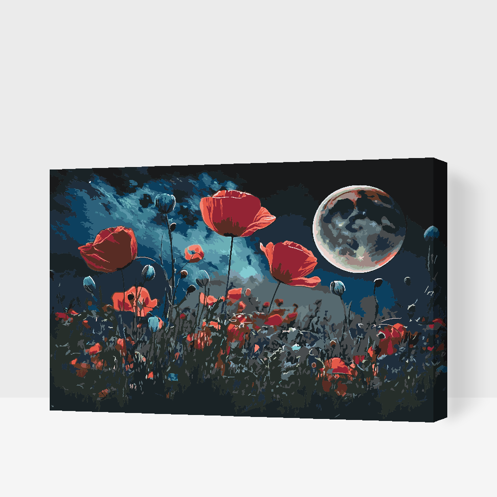 Malování podle čísel - Poppies in the Moonlight